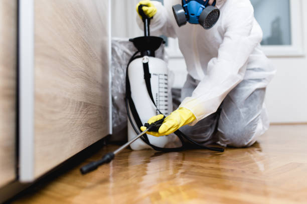 Best Affordable Pest Control Services  in Oak Lawn, IL