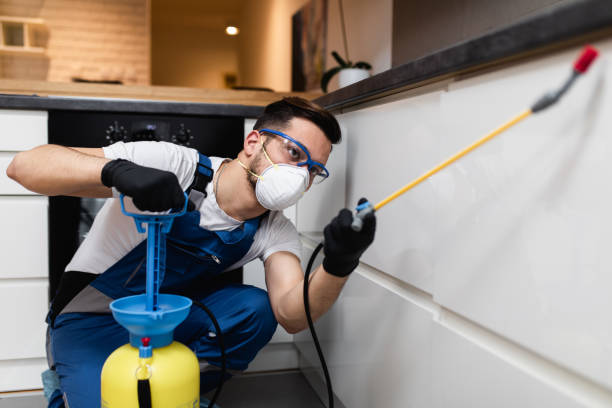 Best Rat Extermination Near Me  in Oak Lawn, IL