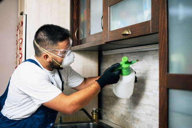 Best Emergency Pest Control  in Oak Lawn, IL