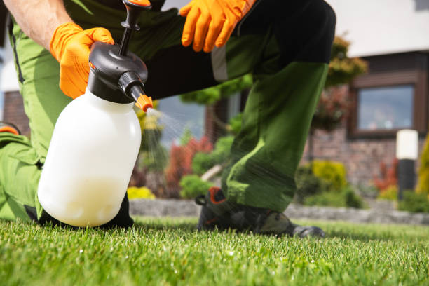 Oak Lawn, IL Pest Control Company