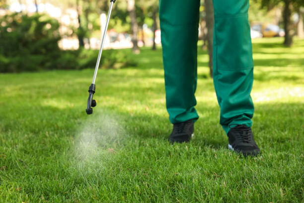 Best Affordable Pest Control Services  in Oak Lawn, IL