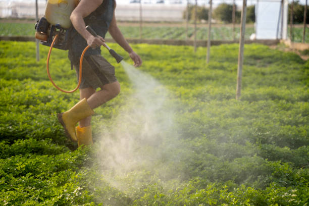 Best Mosquito Control Services  in Oak Lawn, IL